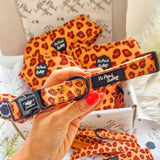 Pet Pooch Boutique Collars