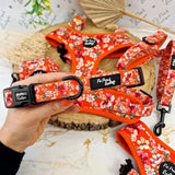 Pet Pooch Boutique Collars