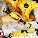 Pet Pooch Boutique Collars