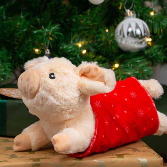 paloma pig in blanket