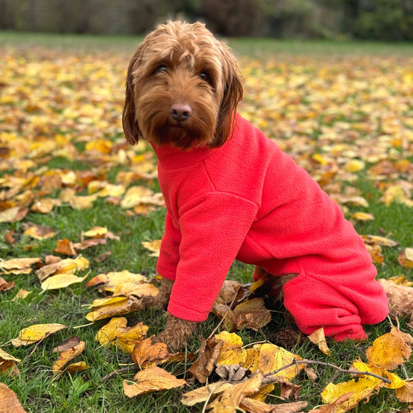 Four Legged Dog Fleece - Available in 5 Sizes & 4 Colours