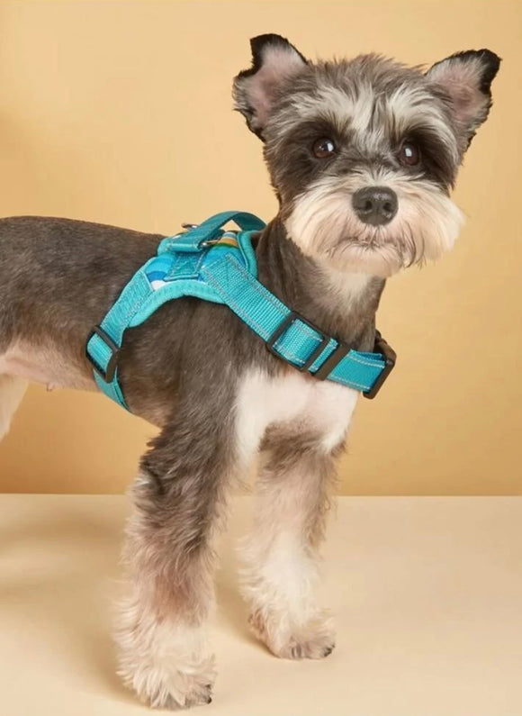 Turquoise Stripe Harness