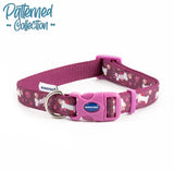 Dog collar purple 