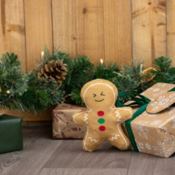 Georgia Gingerbread