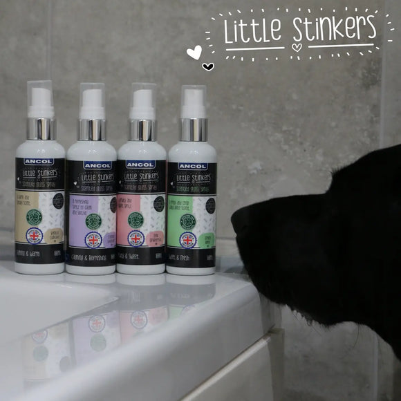 Ancol Little Stinkers Vegan Coat Shine Purfume Spray