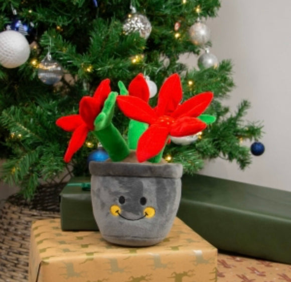 Henrietta poinsetta