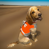 Dog cooling jacket orange 