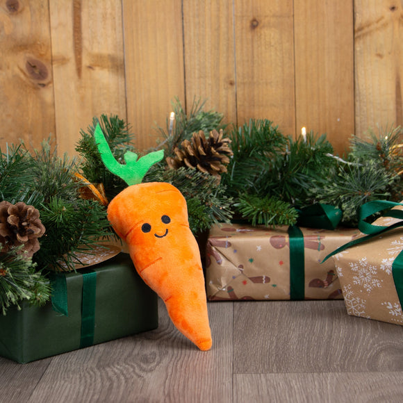 Mini  Katie Carrot