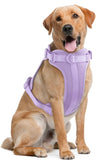 Dog harness lilac front 