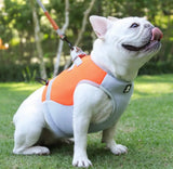 Dog cooling jacket 