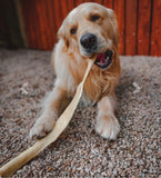 Giant buffalo stick