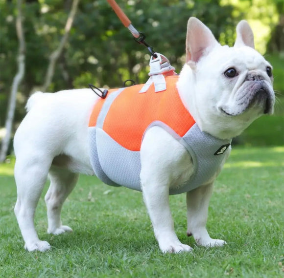 Dog Cooling Harness Jacket