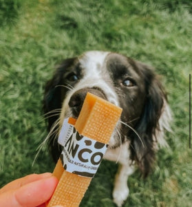 Anco Medium Moo Chew