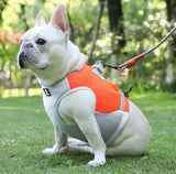 Dog cooling coat 