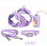 Dog harness lilac 