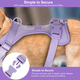 Dog harness lilac back