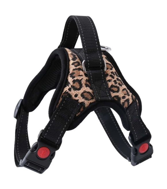 Leopard Print Harness