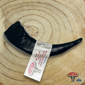 Medium Buffalo Horn