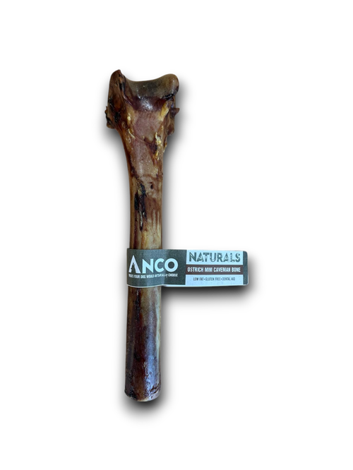 Ostrich Mini Caveman Bone