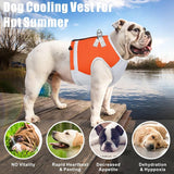 Dog Cooling Harness Jacket