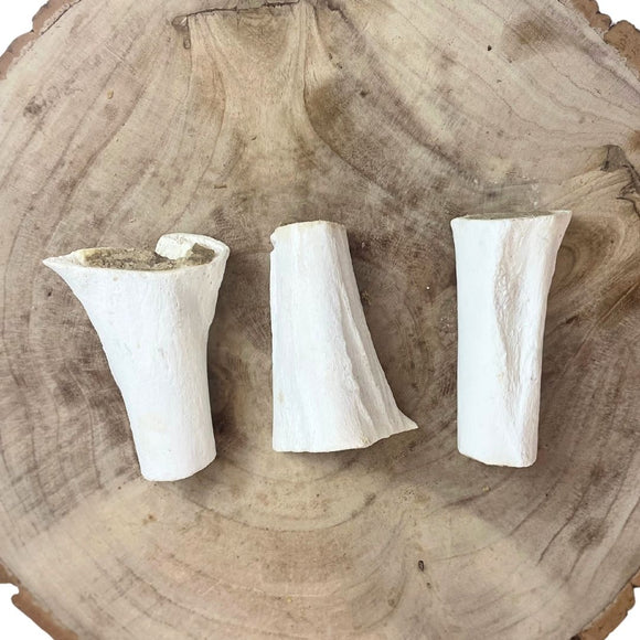 Meaty filled calcium bone