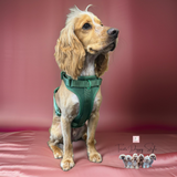 Dog harness green front 