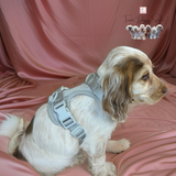 Dog harness grey side 