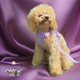 Dog harness purple 