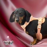 Dog harness peach 