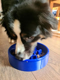 Personalised Slow Feeding Bowl