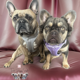 Dog harness lilac & grey 