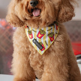 Cooling Bandana