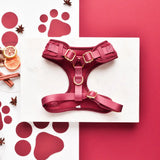 Cocopup Wine Cable Knit Harness