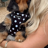 Cocopup Polka Dot Satin Harness