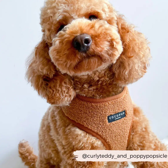 Cocopup Brown Teddy Bear Harness