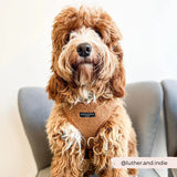 Cocopup Brown Teddy Bear Harness