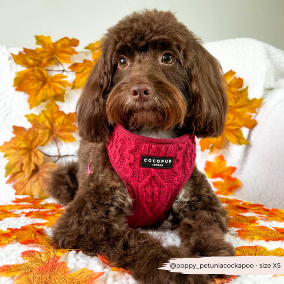 Cocopup Wine Cable Knit Harness