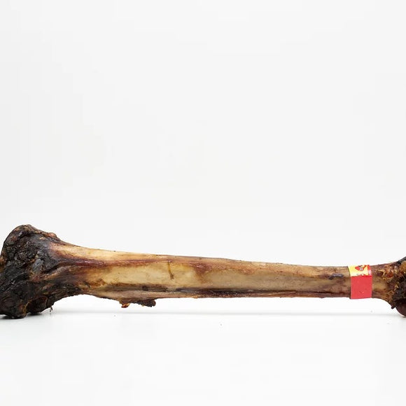 Ostrich Caveman Bone Smoked (over 800g, over 50cm)