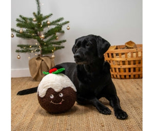 Collin christmas pudding