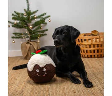 Collin christmas pudding