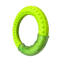 Aqua dog fling ring