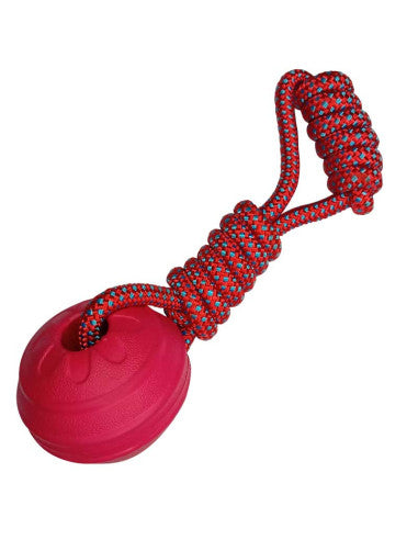 Aqua dog ball and rope toy