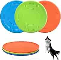 Aqua dog frisbee